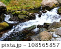 渓流1 108565857