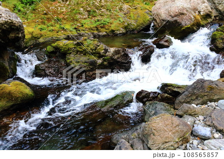 渓流1 108565857