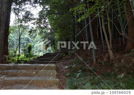 熊野古道の神秘的な石畳 108566029