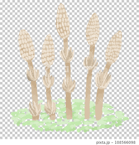 筑紫 筑紫 108566098