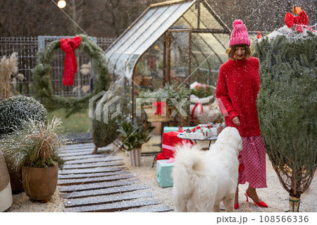 Woman plays with her dog during winter holidays at beautiful backyard Woman plays with her dog during winter holidays at beautiful backyard 108566336