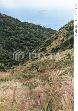 谷 山あい 渓谷 108566429