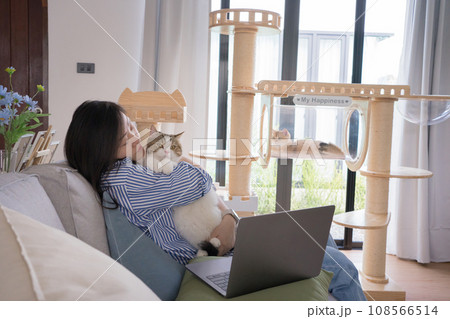 pet lover concept by asian woman she work and play with her cat pet lover concept by asian woman she work and play with her cat 108566514