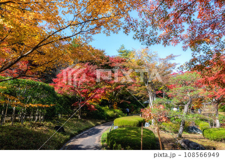 福島県白河市 紅葉の南湖公園 福島県白河市 紅葉の南湖公園 108566949