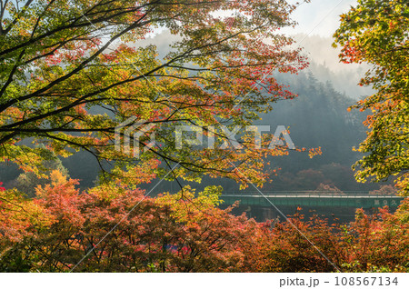 福島県矢祭町　紅葉の矢祭山公園 108567134