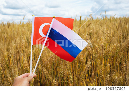 Two flags in hand on the background of a field with cereals, a concept on the topic of a grain deal and the negotiation process between Turkey and Russia 108567805