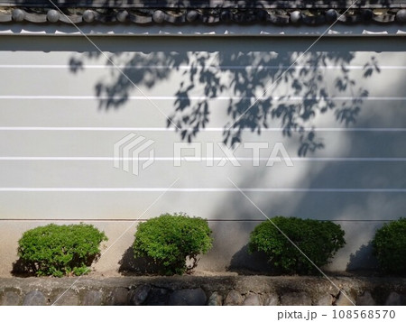 五線塀に映る葉影 108568570