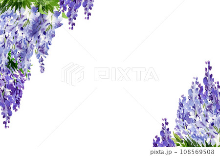 watercolor background with branch of wisteria blossom flowers, hand drawn illustration with spring lilac flowers, blue plant isolated on white background watercolor background with branch of wisteria blossom flowers, hand drawn illustration with spring lilac flowers, blue plant isolated on white background 108569508