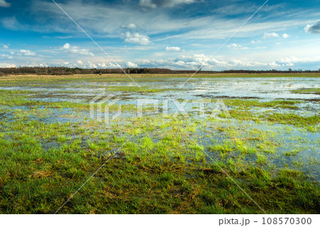 Water after rain on a green meadow Water after rain on a green meadow 108570300