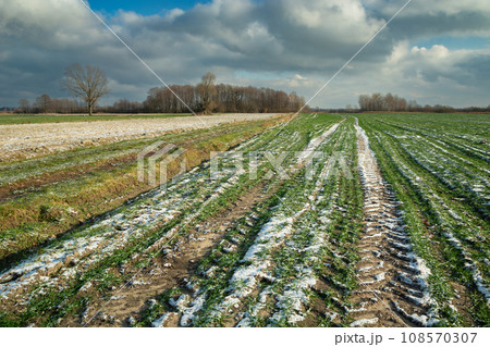 The first snow and frozen ground on a farm field The first snow and frozen ground on a farm field 108570307