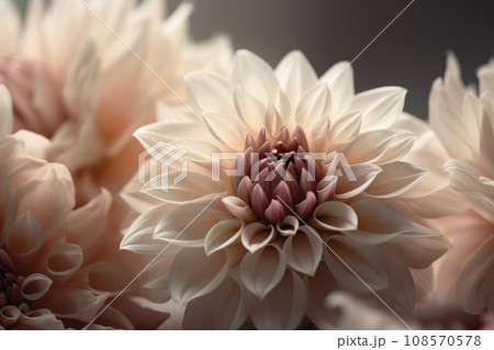 Pink dahlia flowers bouquet close up. Generative AI 108570578