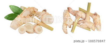 Fresh galangal root with slices isolated on white background with full depth of field. Top view. Flat lay Fresh galangal root with slices isolated on white background with full depth of field. Top view. Flat lay 108570847