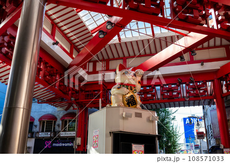 【大須商店街】早朝の大須まねき猫 108571033