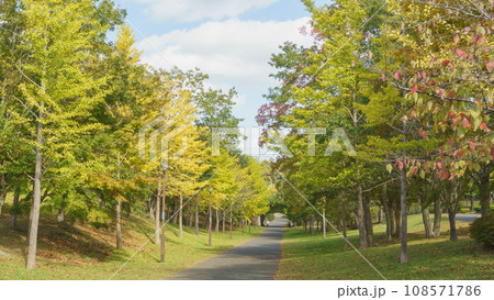 【千葉県千葉市】おゆみ野・四季の道　秋の道　あきのみち公園付近 108571786