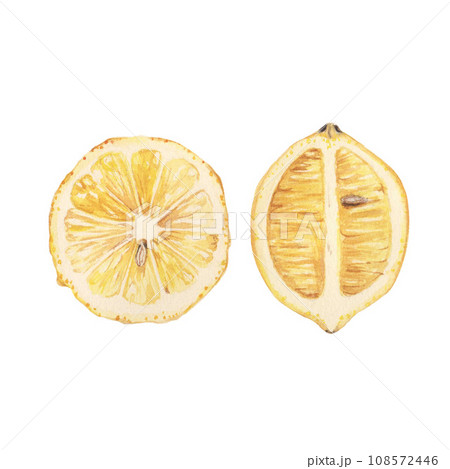 Composition with juicy watercolor lemons Composition with juicy watercolor lemons 108572446