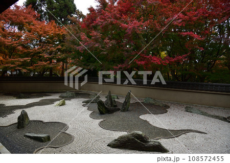 東福寺の紅葉 108572455