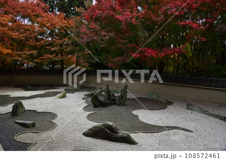 東福寺の紅葉 東福寺の紅葉 108572461