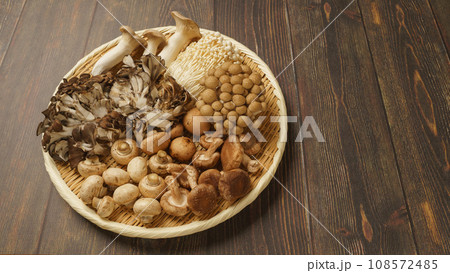 きのこの盛合せ│エリンギ・マイタケ・ぶなしめじ・えのき茸・椎茸・マッシュルーム きのこの盛合せ│エリンギ・マイタケ・ぶなしめじ・えのき茸・椎茸・マッシュルーム 108572485