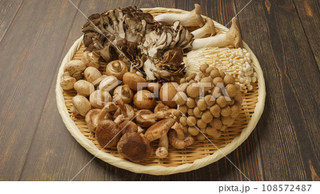 きのこの盛合せ│エリンギ・マイタケ・ぶなしめじ・えのき茸・椎茸・マッシュルーム きのこの盛合せ│エリンギ・マイタケ・ぶなしめじ・えのき茸・椎茸・マッシュルーム 108572487