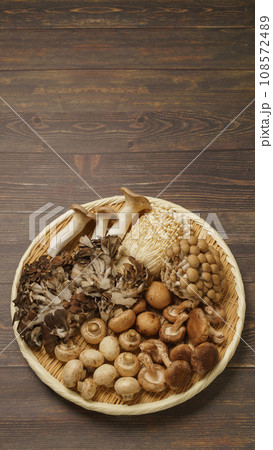 きのこの盛合せ│エリンギ・マイタケ・ぶなしめじ・えのき茸・椎茸・マッシュルーム 108572489