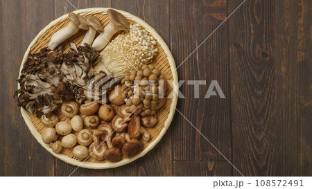 きのこの盛合せ│エリンギ・マイタケ・ぶなしめじ・えのき茸・椎茸・マッシュルーム きのこの盛合せ│エリンギ・マイタケ・ぶなしめじ・えのき茸・椎茸・マッシュルーム 108572491