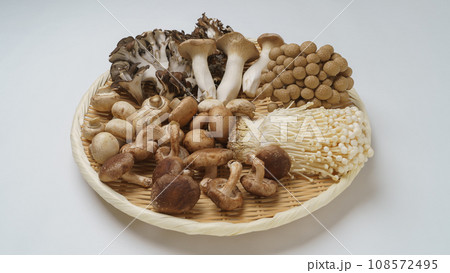 きのこの盛合せ│エリンギ・マイタケ・ぶなしめじ・えのき茸・椎茸・マッシュルーム 108572495