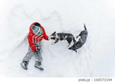 Child in red jacket sits in the snow with dogs on snow angel background. Rescue Dogs concept. Top view. 108573194