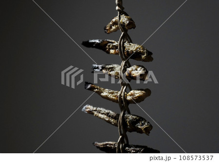 ハゼの焼干し 108573537