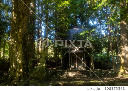京都府宮津市上世屋の世屋姫神社を撮影 京都府宮津市上世屋の世屋姫神社を撮影 108573548