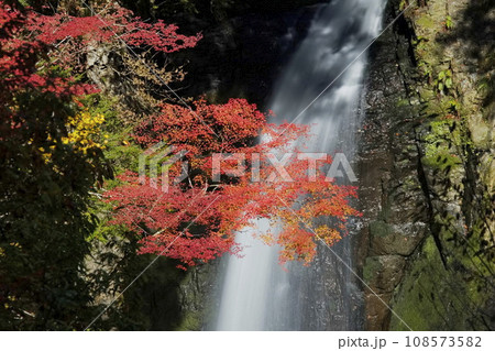 秋の高野大滝。霊場高野山の滝で紅葉が美しい。 108573582