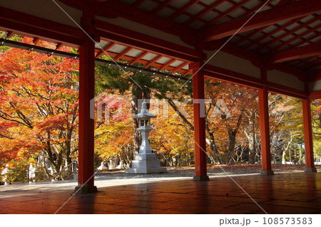 紅葉の美しい高野山奥の院英霊殿 108573583