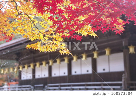 鮮やかな紅葉　壇上伽藍 108573584