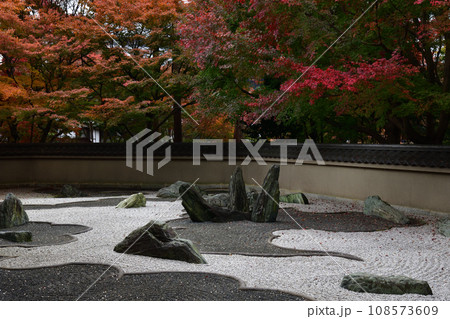 東福寺の紅葉 東福寺の紅葉 108573609