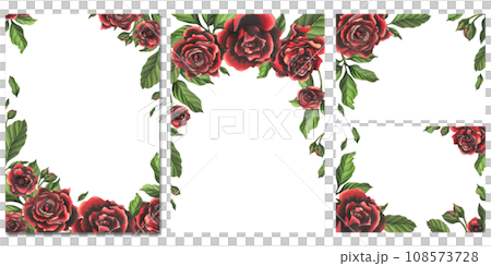 Red-black rose flowers with green leaves and buds, chic, bright, beautiful. Hand drawn watercolor illustration. Set of emplates on a white background, for decoration and design 108573728