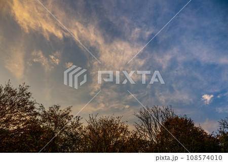 Evening cloudscape with trees. White high-level cirrus clouds with yellow tint against a blue sky. Landscape orientation. Evening cloudscape with trees. White high-level cirrus clouds with yellow tint against a blue sky. Landscape orientation. 108574010