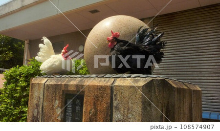 鶏さんと地域探索 鶏さんと地域探索 108574907