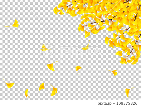 銀杏樹枝和落葉的框架 108575826