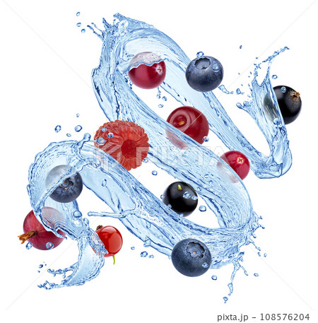 Forest berries mix falling with water splashes isolated on white background Forest berries mix falling with water splashes isolated on white background 108576204