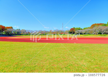 都立 秋留台公園 競技場(東京都あきる野市)【2023.11】 都立 秋留台公園 競技場(東京都あきる野市)【2023.11】 108577726
