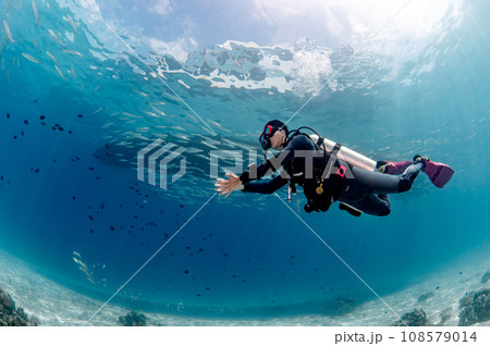 Underwater scuba diving in Andaman sea, Thailand 108579014