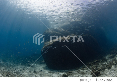 Underwater landscape of Racha Noi island in Phuket, Thailand 108579021