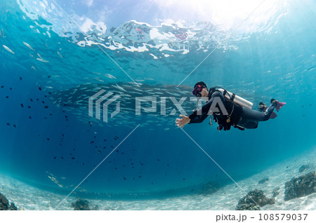 Underwater scuba diving in Andaman sea, Thailand Underwater scuba diving in Andaman sea, Thailand 108579037