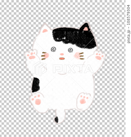 Batankyu cat tabby 108579304