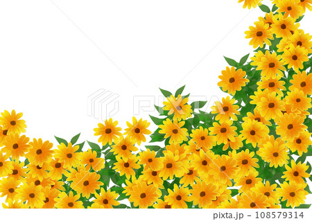 ルドベキアの花のカード1 ルドベキアの花のカード1 108579314