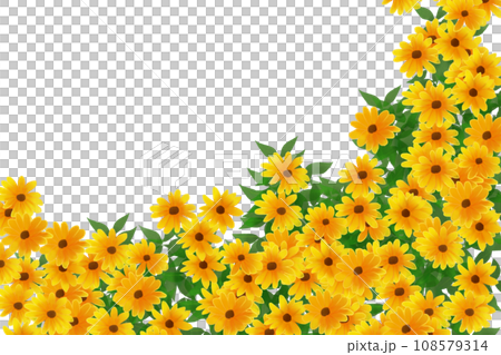 ルドベキアの花のカード1 ルドベキアの花のカード1 108579314