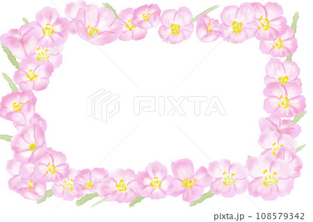 昼咲き月見草の花のカード4 108579342