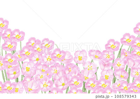 昼咲き月見草の花のカード5 108579343