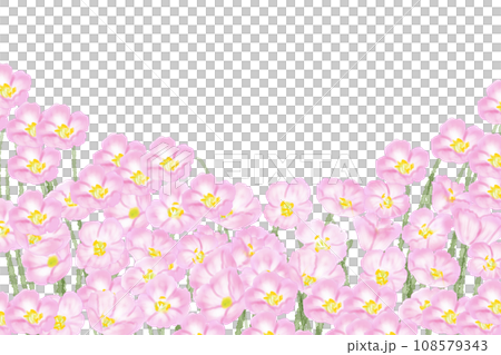 昼咲き月見草の花のカード5 108579343
