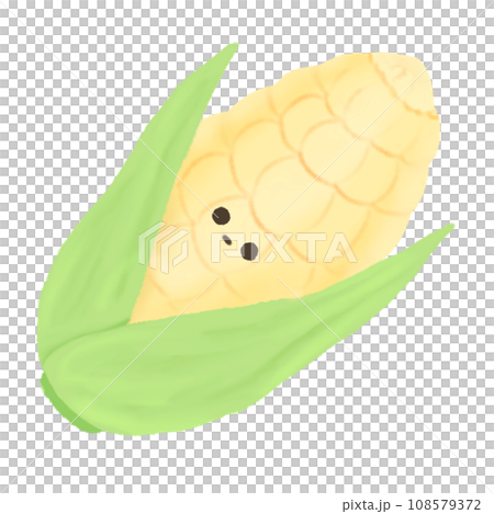 Hand-drawn Cute white Corn, Cute fruit, vegetable, character design in doodle style Hand-drawn Cute white Corn, Cute fruit, vegetable, character design in doodle style 108579372