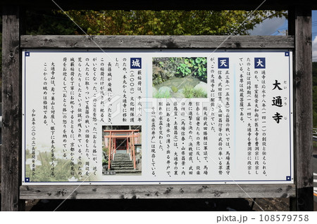 大通寺 城藪稲荷と盃井戸 大通寺 城藪稲荷と盃井戸 108579758